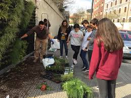 Un grupo de estudiantes montando el jardin vertical