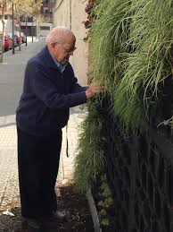 Un profesor montando el jardin vertical